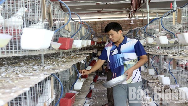 Giúp thanh niên khởi nghiệp