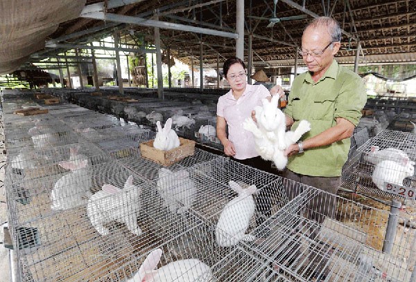 Vai trò của tín dụng chính sách với giảm nghèo nơi vùng cao